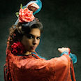 Contratar Flamenco