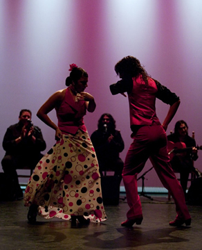 Cia. Flamenca Malaga
