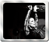 Flamenco Videos