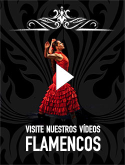 Videos Flamencos