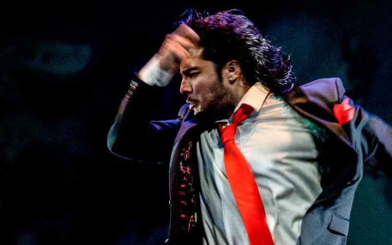 IVAN-VARGAS.JPG ivan vargas bailaor flamenco