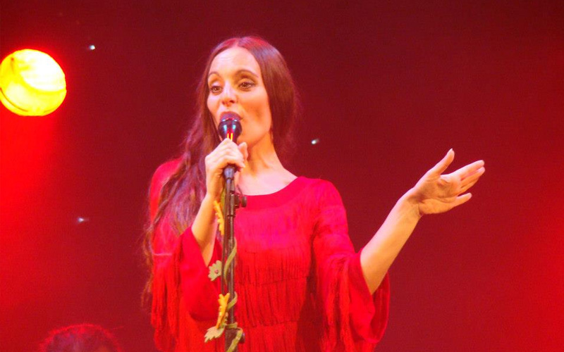 flamenco Cantante