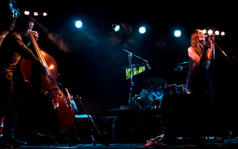Concierto en directo