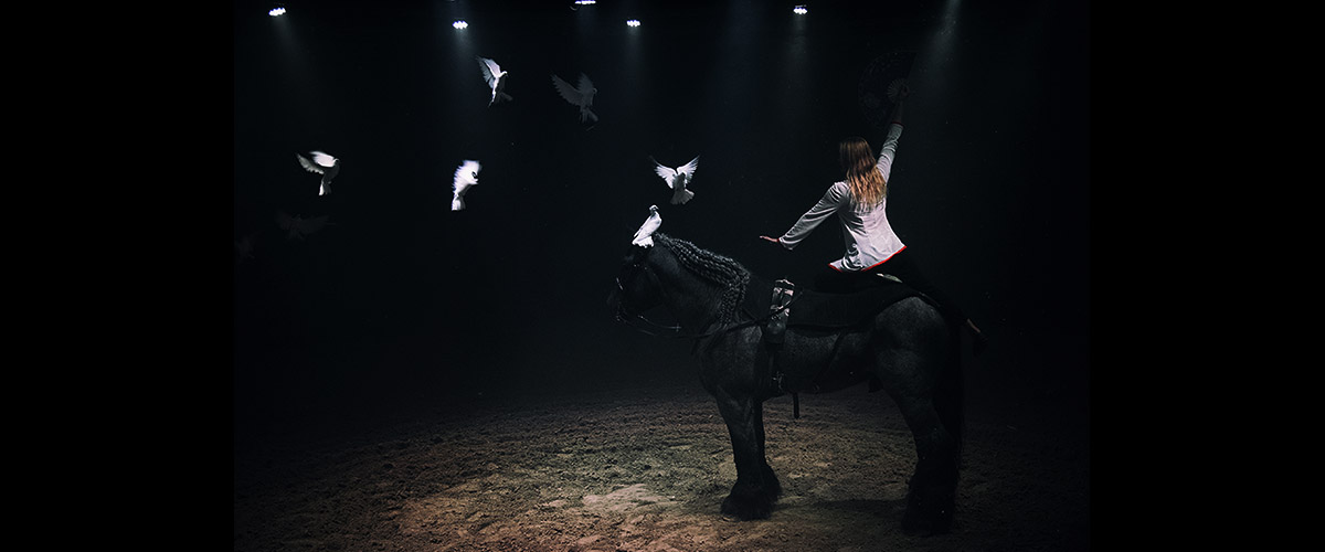 ARTEQUSS-TEATRE-EQUESTRE-0 ARTEQUSS-TEATRE-EQUESTRE-0