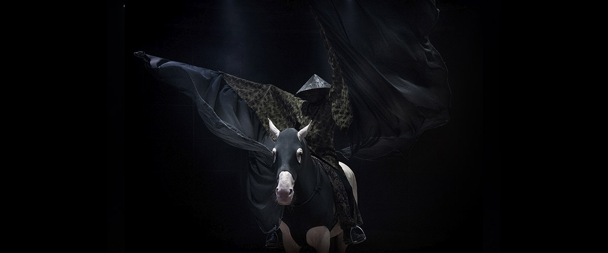 ARTEQUSS-TEATRE-EQUESTRE-22 ARTEQUSS-TEATRE-EQUESTRE-22