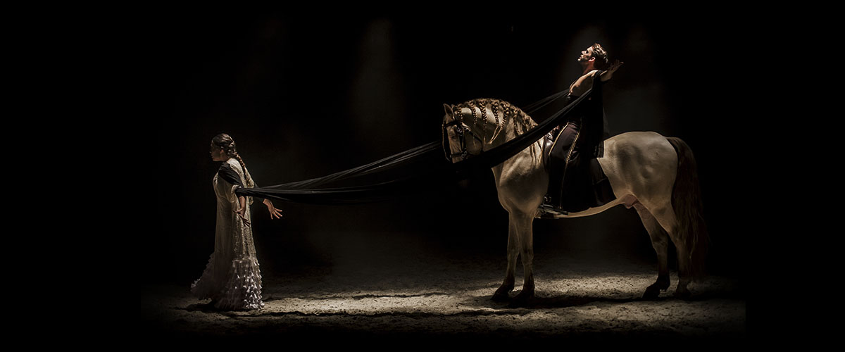 ARTEQUSS-TEATRE-EQUESTRE-43 ARTEQUSS-TEATRE-EQUESTRE-43