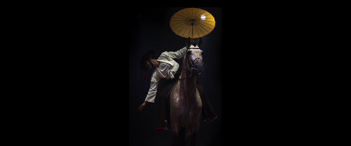 ARTEQUSS-TEATRE-EQUESTRE-6