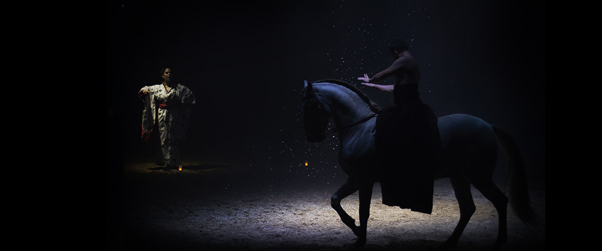 ARTEQUSS-TEATRE-EQUESTRE-9 ARTEQUSS-TEATRE-EQUESTRE-9